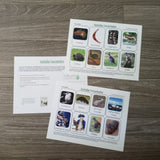 Australia Concentration Game