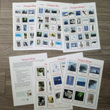 Penguin Bingo Game (GO GLOBAL)